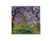 Claude Monet Printemps a Giverny oil painting on canvas
